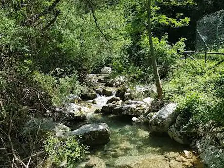 Photo de Wildlife Area of ​​the Chamois of Abruzzo