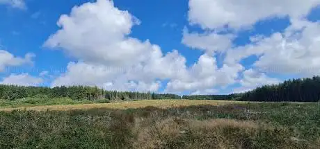 Welsford Moor