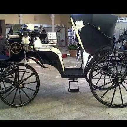 Photo de Coche de caballos Miguel Gil