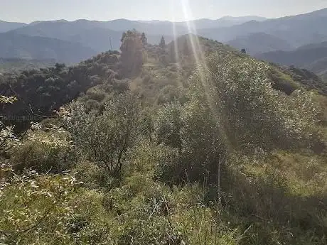 Photo de Camino del Moril