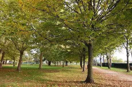 Parco Scarpellini