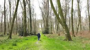 Photo de carrefour du chêne au veneur