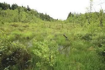 Espace Naturel Sensible de la Tourbière de la Basse St Jean