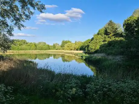Photo de Millfields Pool