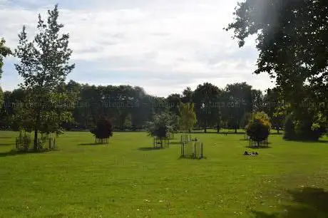 Photo de Millfields Park