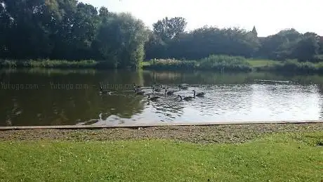 Photo de Netteswell Pond