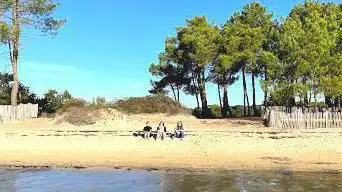 Photo de Saint-Brice-Les-Quinconces-Le-Coulin