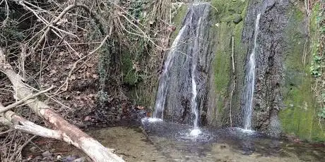 Photo de Cova de l'Aram