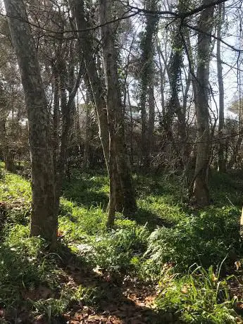 Photo de Riera de Sant Miquel