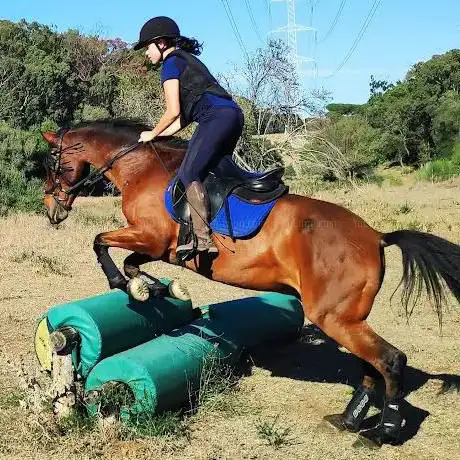 Photo de Club De Equitación Natural