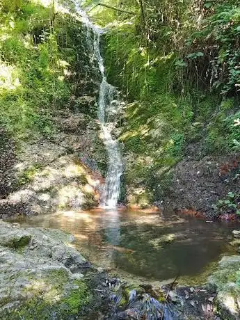 Photo de Salt de l'Olla