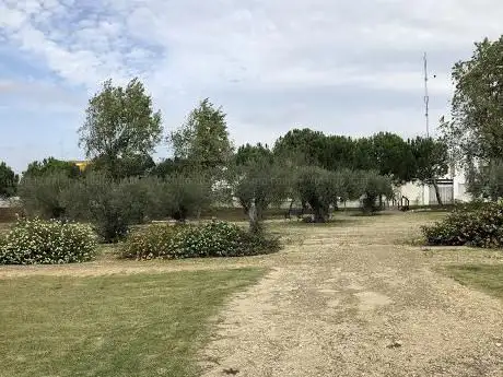 Photo de El Tomillar Park