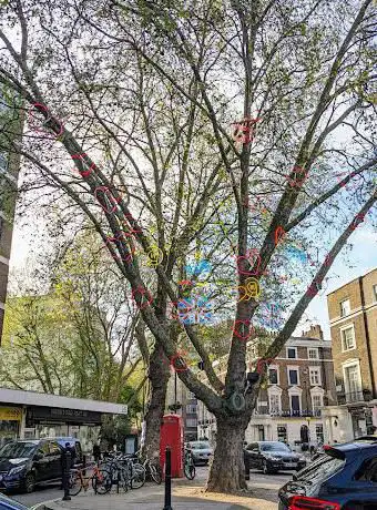Photo de Tree of Love  Joy and Hope