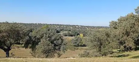 Photo de Monte De Berciana