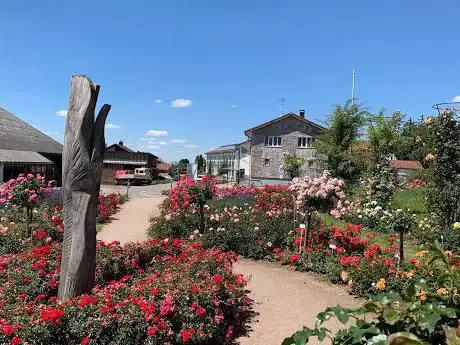 Photo de Nöggenschwiel