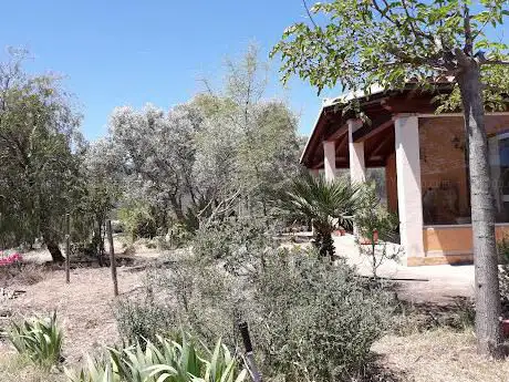 Campi sportivi