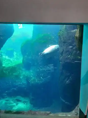 Aquarium