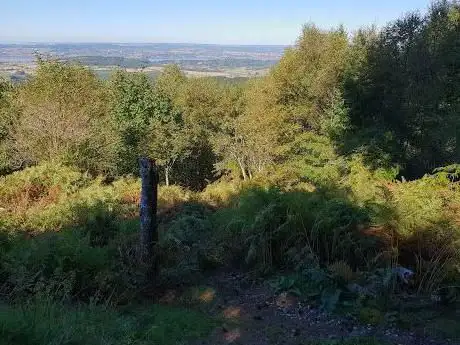 Mamhead Sensory Trail