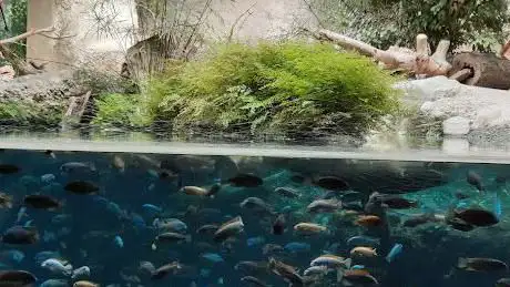 Photo de Zoo de Bâle