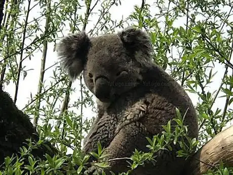 Photo de Australien Anlage