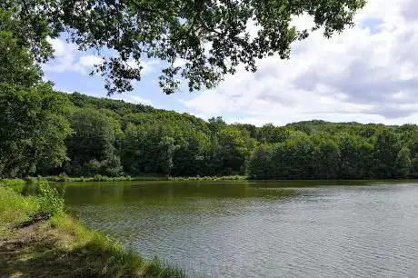 Kabiline Woods