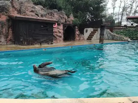 Photo de Leones Marinos