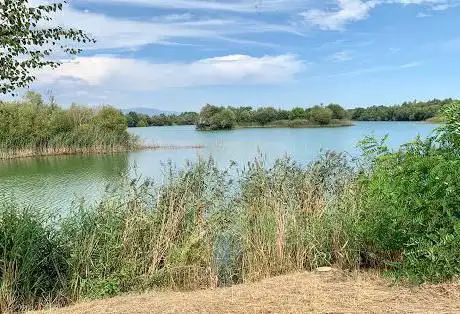 Photo de Observatorio de aves
