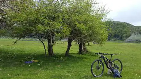 Photo de Monumento a Marco Pantani