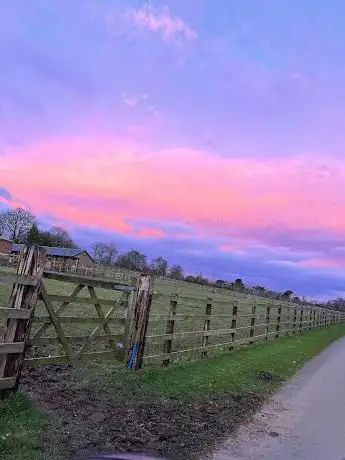Photo de I.M. Equestrian - Irish Farm