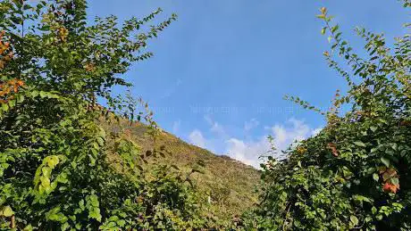 Parco Degli Olmi