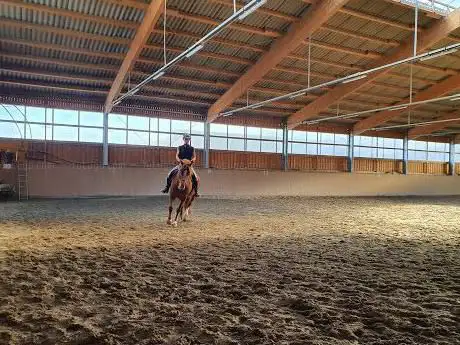 Photo de RiverDawn Welsch Ponies & Cobs