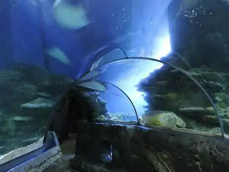 Photo de Sea Life Londres