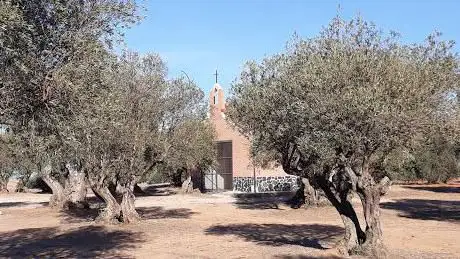 Photo de Ermita De Nuestra Señora La Virgen De La Espiga