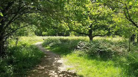 Photo de Andrew's Wood