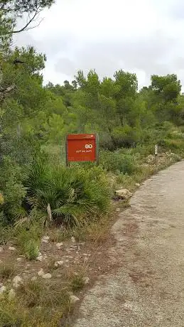 Photo de Pla de les palmeres