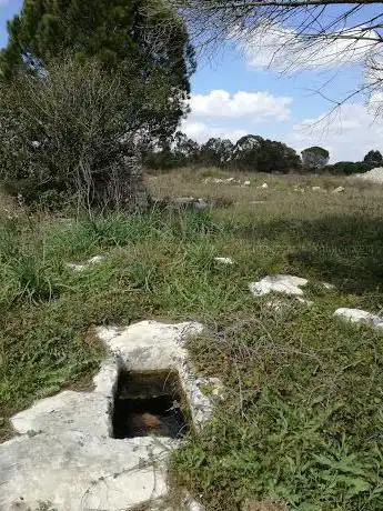 Photo de Dolmen Specchia