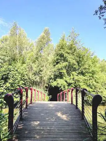 Photo de Park Pâtis