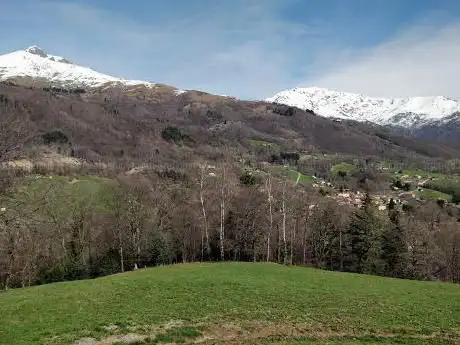 Réserve naturelle du Parco Burcina - Felice Piacenza