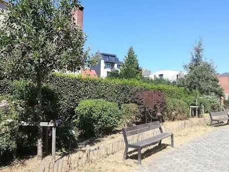 Jardin du chat