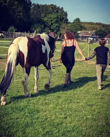 Pennypot Stables