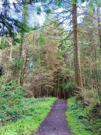 Photo de Bohill Nature Reserve