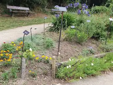 Photo de Jardin des Senteurs et des Couleurs