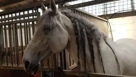 Photo de Country Stables