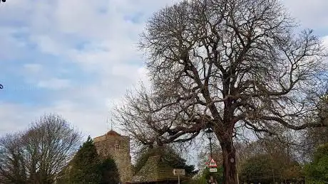 Steyning Museum