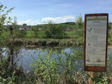 Photo de Weiher