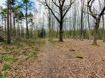 Photo de Flatropers Wood Nature Reserve, Sussex Wildlife Trust