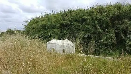 Pilar de la Dehesa