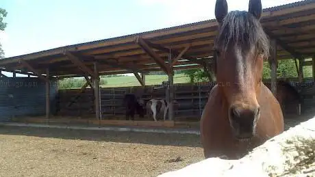 Ponyhof Grünau