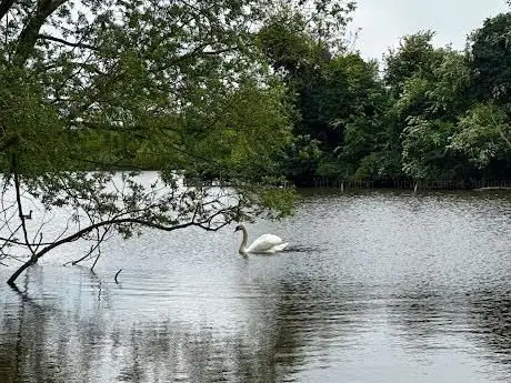 Photo de Hainault Forest Lake