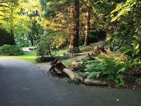 Photo de Wettsteinpark